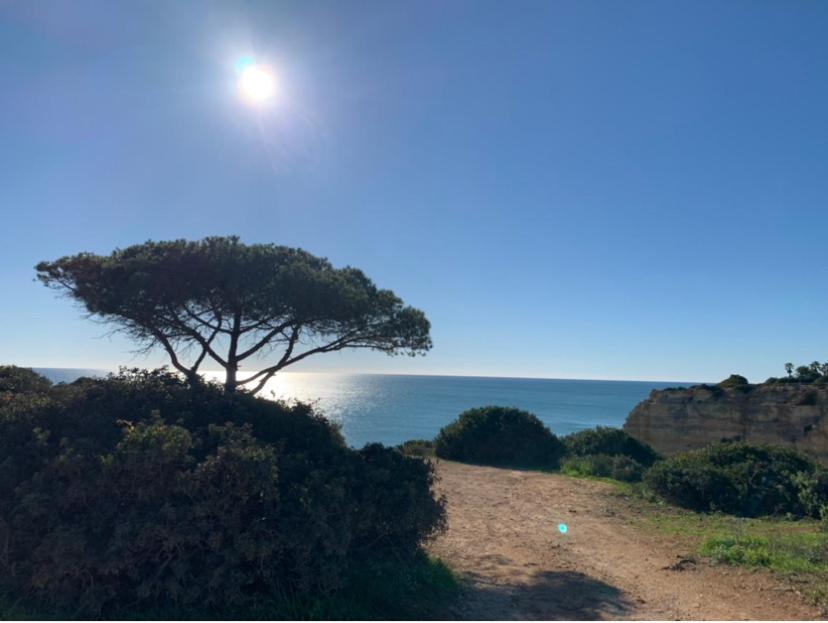 Bed and Breakfast A Beira Do Vale, Carvoeiro Carvoeiro  Zewnętrze zdjęcie
